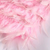 Samba - Elegants Liikumises